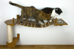 cat trees