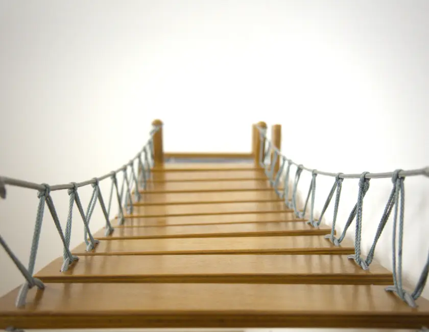 cat bridge