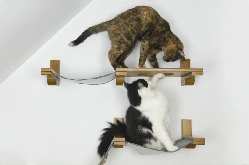 cat furniture