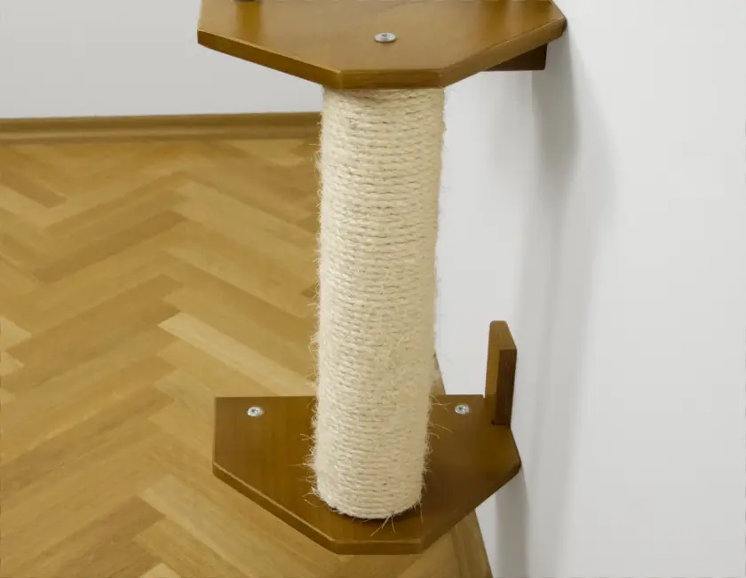cat scratching post